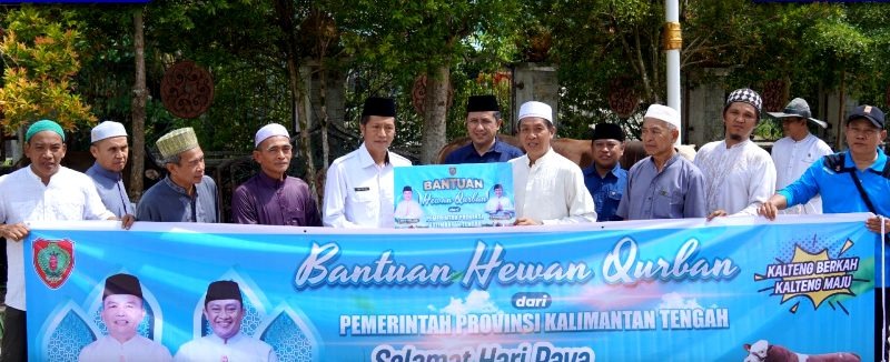 IMG-20250605-WA0004